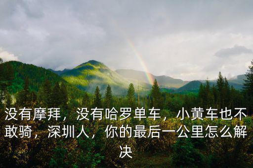 深圳哈羅單車怎么沒了,沒有哈羅單車