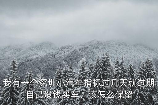 深圳搖號延期怎么辦理,搖到深圳牌了
