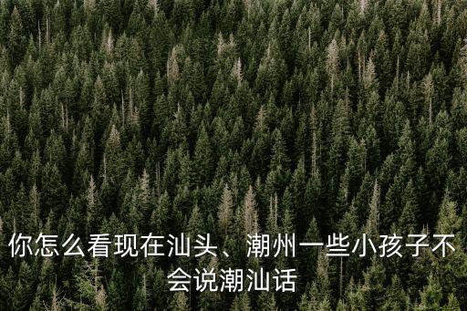 你怎么看現(xiàn)在汕頭、潮州一些小孩子不會說潮汕話