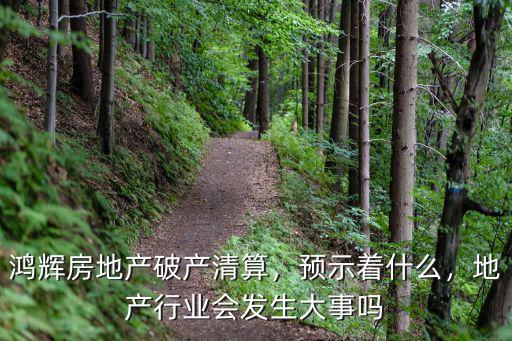 鴻輝房地產(chǎn)破產(chǎn)清算，預(yù)示著什么，地產(chǎn)行業(yè)會(huì)發(fā)生大事嗎