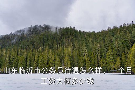 濰坊公務員公積金多少錢一個月多少錢一個月多少錢,山東臨沂市公務員待遇怎么樣