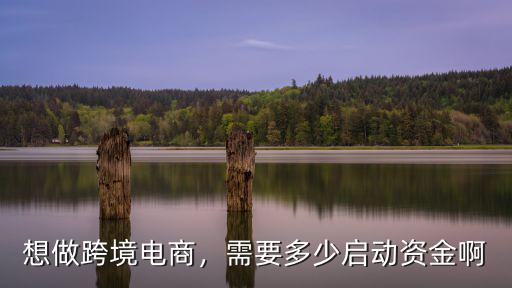 想做跨境電商，需要多少啟動資金啊