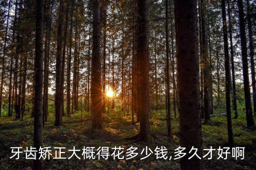 牙齒矯正大概得花多少錢,多久才好啊