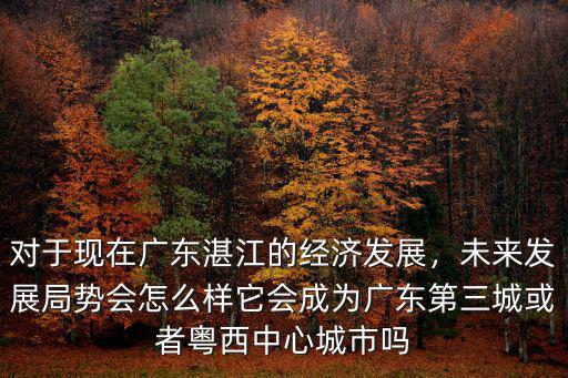 佛山的經濟發展未來怎么樣,未來發展局勢會怎么樣