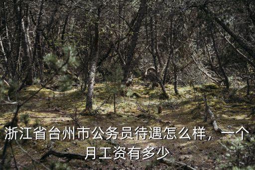 臺(tái)州市大車(chē)床的工資多少,一個(gè)月工資有多少