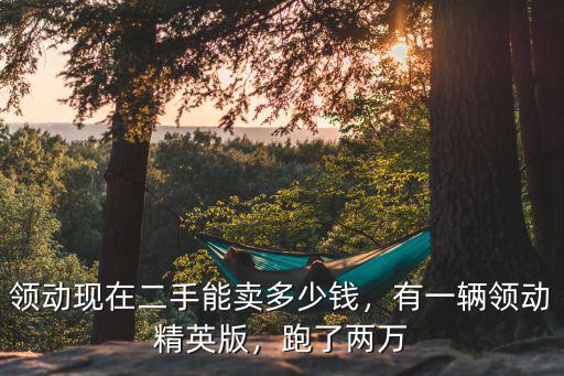 領動現在二手能賣多少錢，有一輛領動精英版，跑了兩萬