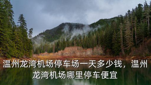 溫州機場停一天車費是多少,溫州龍灣機場停車怎么收費