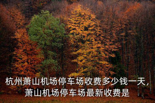 杭州蕭山機場停車場收費多少錢一天，蕭山機場停車場最新收費是
