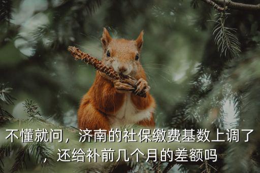 濟南市社保基數最高多少,濟南社保繳費基數是多少