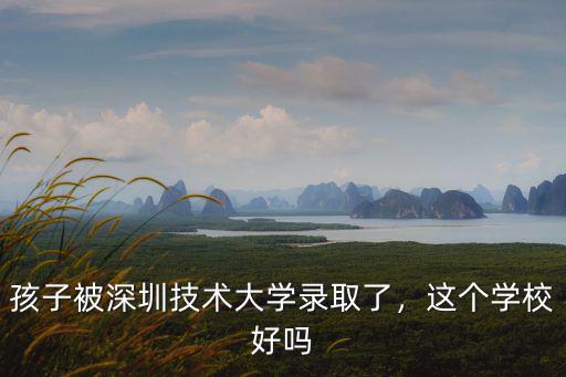 孩子被深圳技術(shù)大學(xué)錄取了，這個(gè)學(xué)校好嗎