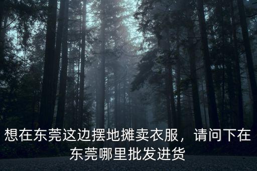 碗仔翅在東莞哪里買衣服,請(qǐng)問(wèn)下在東莞哪里批發(fā)進(jìn)貨
