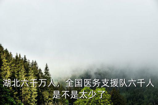 湖北六千萬人，全國醫務支援隊六千人是不是太少了