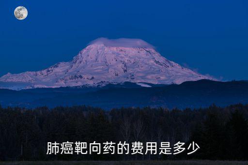 杭州靶向藥費用是多少,肺癌靶向藥的費用是多少