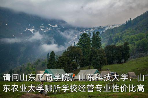 山東農業大學會計學多少分,山東科技大學