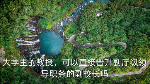 山東省的副廳級干部有多少,有哪些部委的垂直管理機構