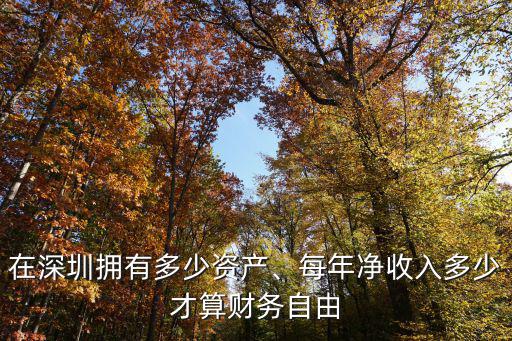 在深圳擁有多少資產(chǎn)、每年凈收入多少才算財務(wù)自由