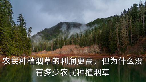 農(nóng)民種植煙草的利潤更高，但為什么沒有多少農(nóng)民種植煙草