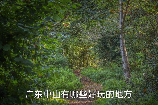 廣東中山哪里爬山好玩,廣東中山有哪些好玩的地方
