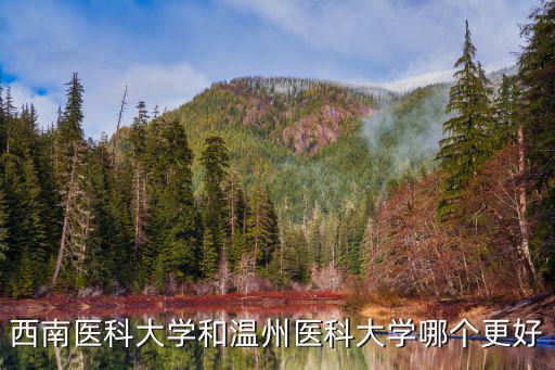 溫州醫(yī)科大學(xué)要求多少分,河北醫(yī)科大學(xué)