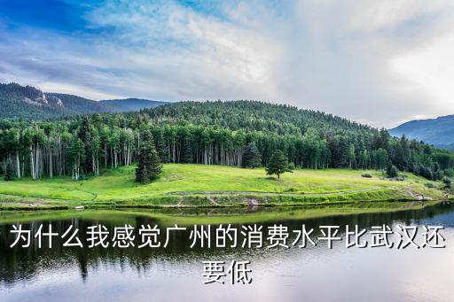 為什么我感覺廣州的消費水平比武漢還要低