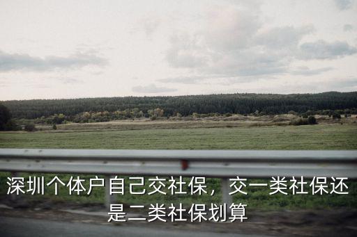 深圳個體戶自己交社保，交一類社保還是二類社保劃算