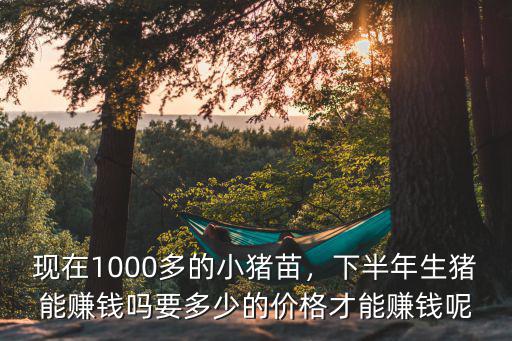 現在1000多的小豬苗，下半年生豬能賺錢嗎要多少的價格才能賺錢呢