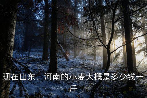 現在山東、河南的小麥大概是多少錢一斤