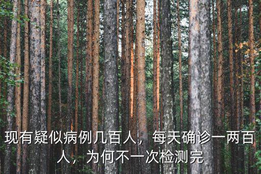 現有疑似病例幾百人，每天確診一兩百人，為何不一次檢測完