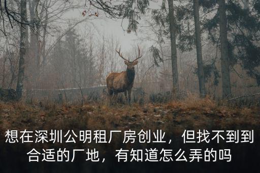 想在深圳公明租廠房創(chuàng)業(yè)，但找不到到合適的廠地，有知道怎么弄的嗎