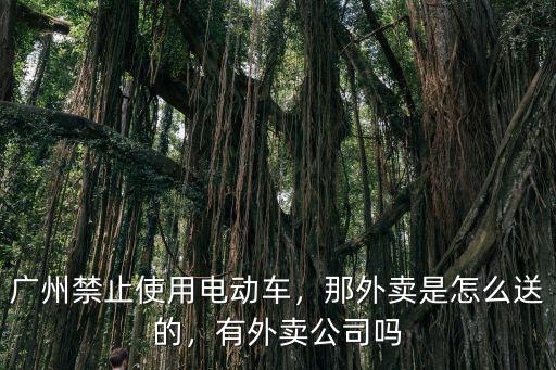 深圳禁摩限電快遞怎么送,深圳禁摩限電