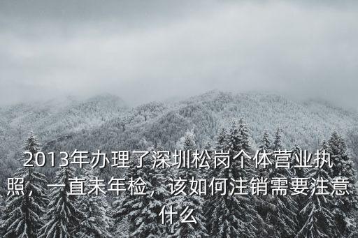 2013年辦理了深圳松崗個體營業執照，一直未年檢，該如何注銷需要注意什么