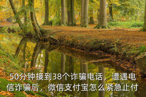 50分鐘接到38個詐騙電話，遭遇電信詐騙后，微信支付寶怎么緊急止付
