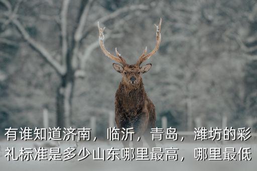 山東濰坊高密彩禮多少,濰坊的彩禮標準是多少