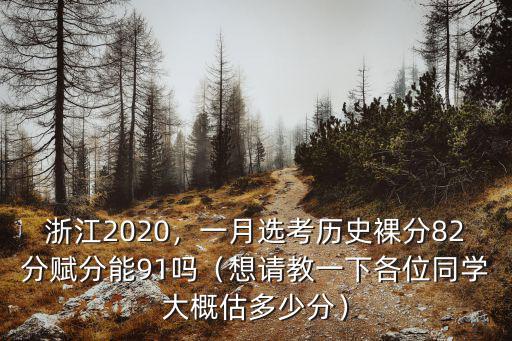 浙江2020，一月選考歷史裸分82分賦分能91嗎（想請教一下各位同學大概估多少分）