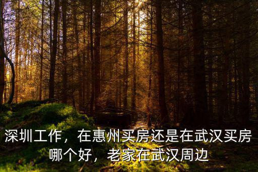 深圳工作，在惠州買房還是在武漢買房哪個好，老家在武漢周邊