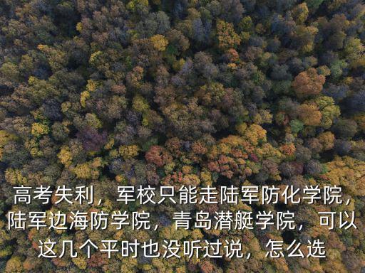 高考失利，軍校只能走陸軍防化學院，陸軍邊海防學院，青島潛艇學院，可以這幾個平時也沒聽過說，怎么選