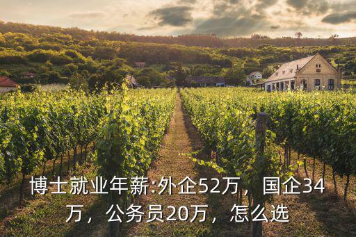 博士就業年薪:外企52萬，國企34萬，公務員20萬，怎么選