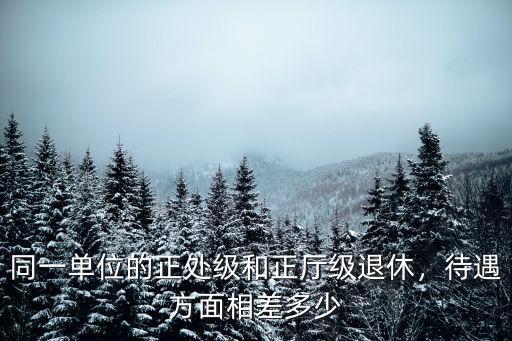 東營(yíng)處級(jí)干部退休工資多少,副處級(jí)干部養(yǎng)老金能拿多少