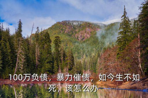 在東莞負(fù)債100萬(wàn)怎么辦,負(fù)債100萬(wàn)