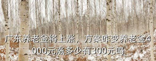 廣東養(yǎng)老金將上漲，方案咋變養(yǎng)老金4000元漲多少有300元嗎