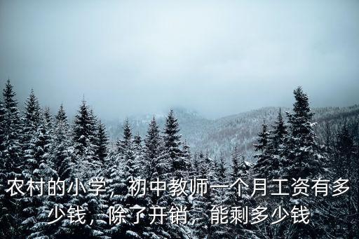 湖州老師多少錢一個(gè)月,浙江的老師工資水平如何