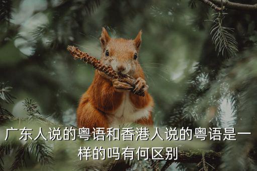 何浩鵬廣東哪里人,為什么在很多廣東人眼里