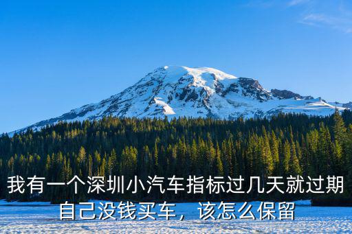 我有一個深圳小汽車指標過幾天就過期自己沒錢買車，該怎么保留