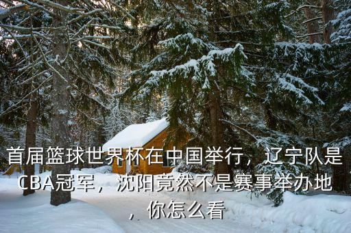 籃球世界杯廣州賽在哪里舉辦,首屆籃球世界杯在中國舉行