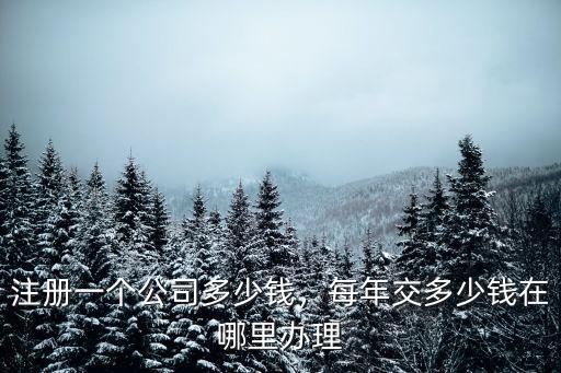 菏澤公司報稅一年多少錢,注冊一個公司多少錢