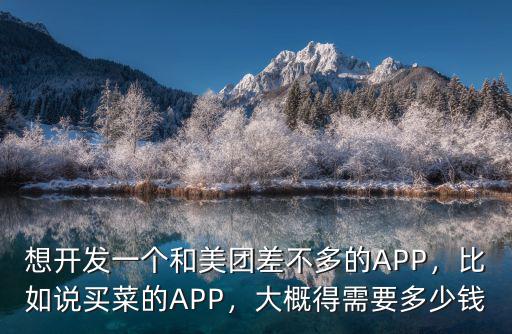 想開發(fā)一個(gè)和美團(tuán)差不多的APP，比如說買菜的APP，大概得需要多少錢