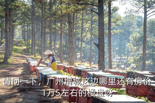 請(qǐng)問一下，廣州增城這邊哪里還有房價(jià)1萬5左右的樓盤呀