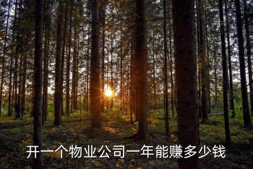 東莞開個小公司一年能賺多少錢啊,開個小監理公司能賺錢嗎