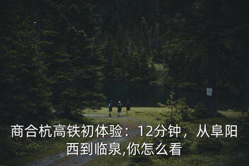商合杭高鐵初體驗(yàn)：12分鐘，從阜陽西到臨泉,你怎么看