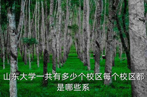 青島獨立學校有多少個,山東大學一共有多少個校區(qū)